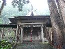 新宮熊野神社中門越に見える本殿である新宮証誠殿