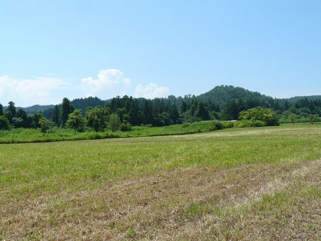 ��ÐV�{���