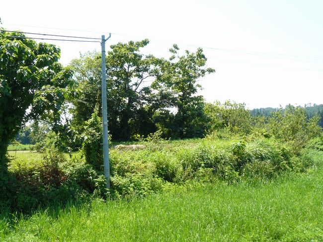 ��ÐV�{���