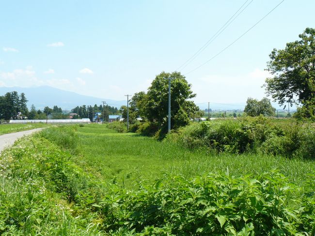 ��ÐV�{���