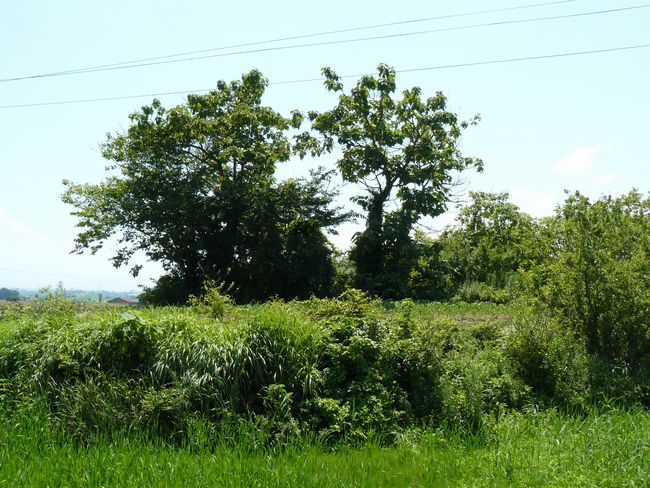 ��ÐV�{���