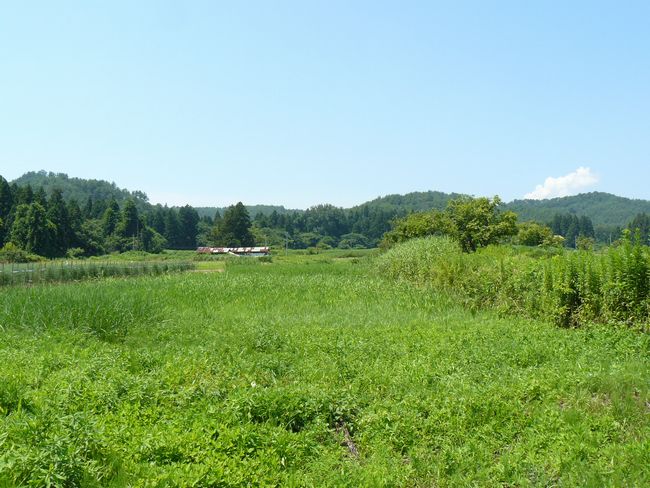 ��ÐV�{���