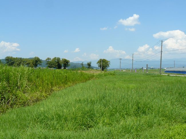 ��ÐV�{���