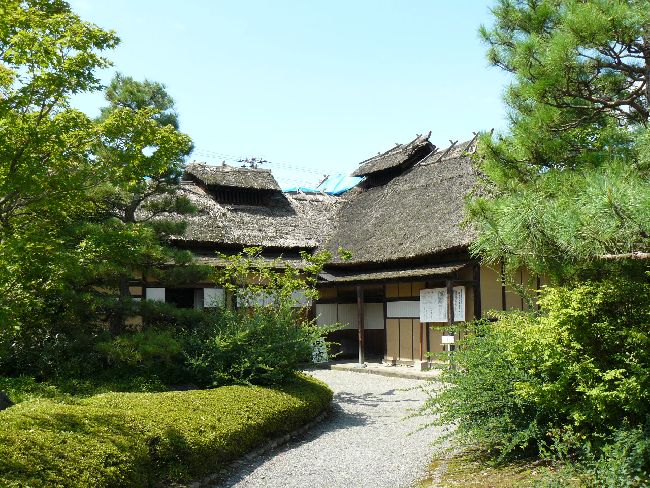 �����؉ƏZ��