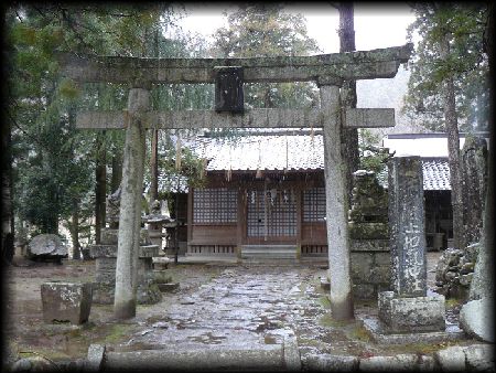 �ɔg�~�a�C�_�Б咹���ƐΑ��Ѝ��W�̉摜