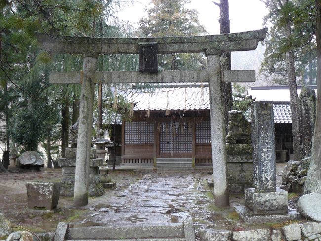 �ɔg�~�a�C�_��