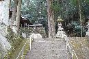 古殿八幡神社参道石段から見上げる石燈篭