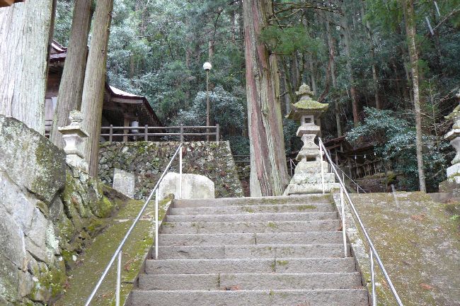 �Óa�����_��