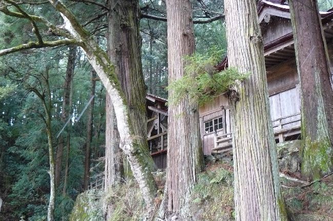 �Óa�����_��