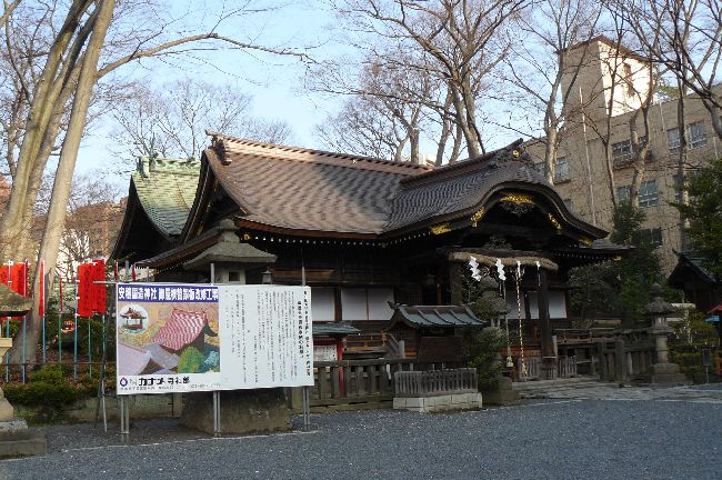 ���ύ����_��