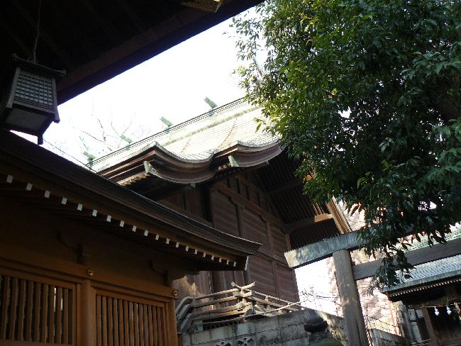 ���ύ����_��