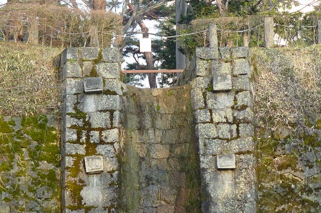 ���ϑa���[�R�̔��e