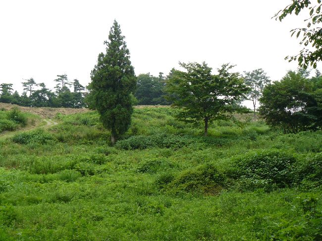 �K�ܐ��R��