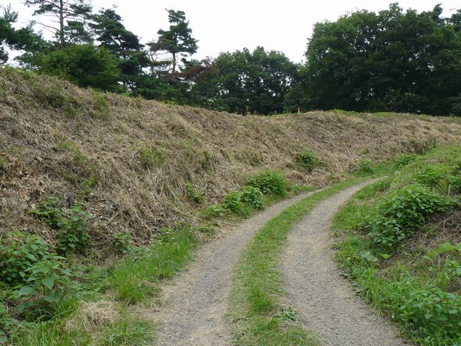 �K�ܐ��R��