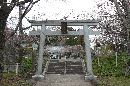相馬小高神社参道に設けられた石燈篭と桜並木