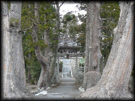 相馬太田神社参道大木並木から見た境内の様子