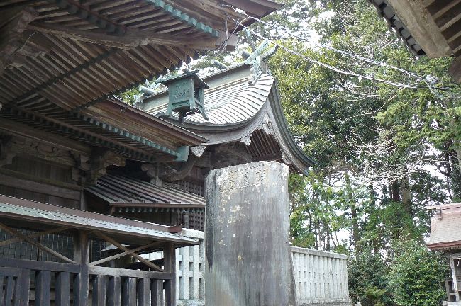 ���n���c�_��