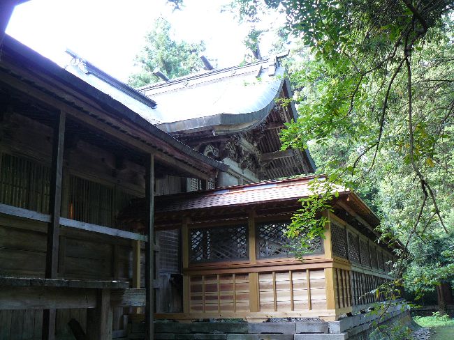 �ɍ��{���_��