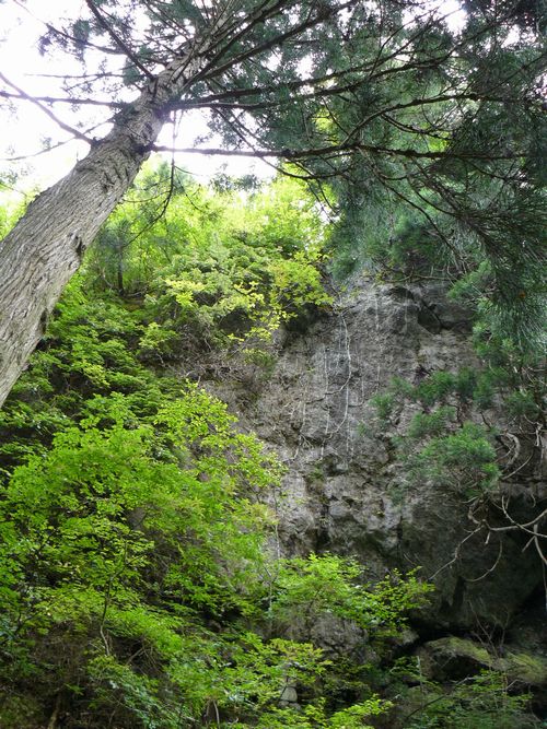 ���ω��i�m�����j