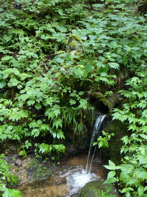 ���ω��i�m�����j