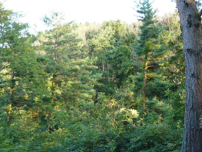 ���H���R��