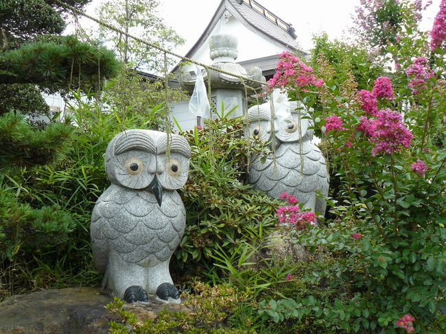 ���c�ω����i�V�����j