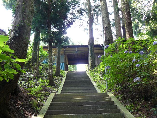 ���J�ω���