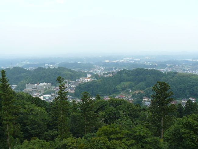 ��{���s�F������