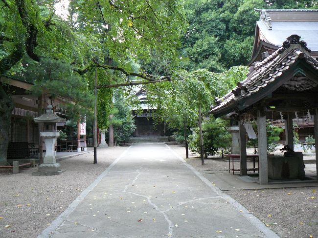 ��{���_��