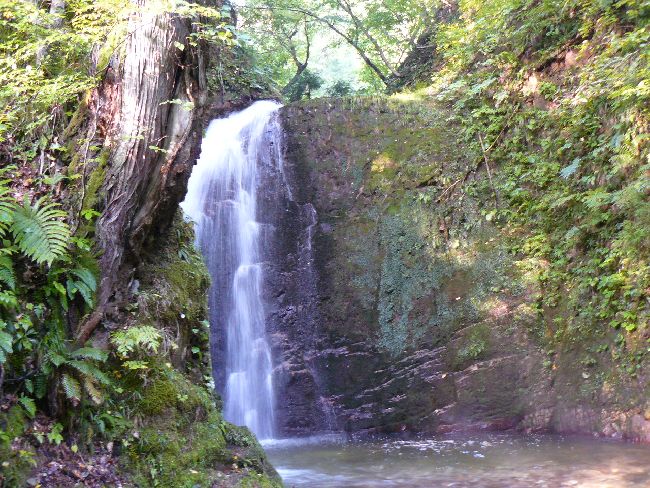 ��R�_�_�ЁE�s����