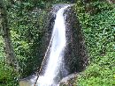 大山祇神社弥作の滝の流れ落ちる滝音が空気に震動を与えています