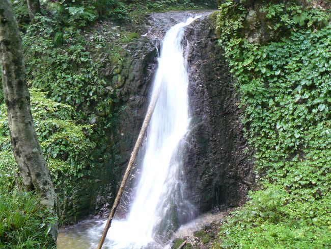 ��R�_�_�ЁE���̑�