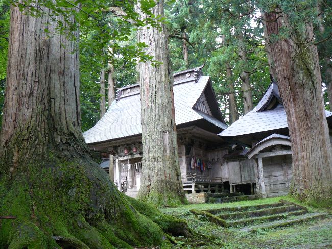 ��R�_�_�ЁE����