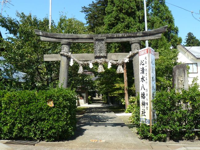 �S���������_��