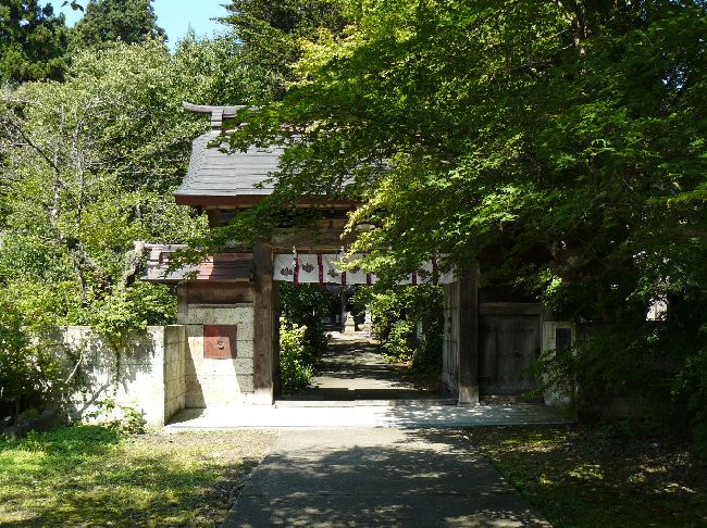 �S���������_��