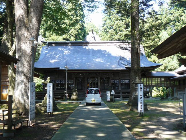 �S���������_��