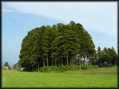 ����X�Õ�