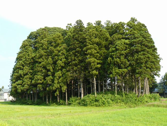 ����X�Õ��i��Í≺���j