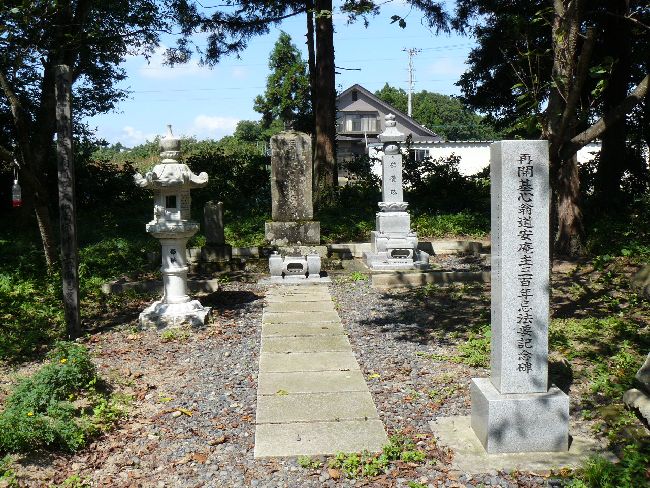 ��F����t��