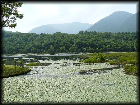 �ω����̑S�i�摜