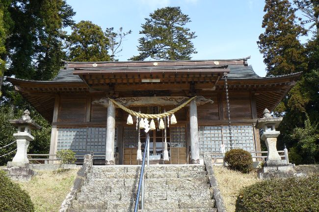 �q����_��