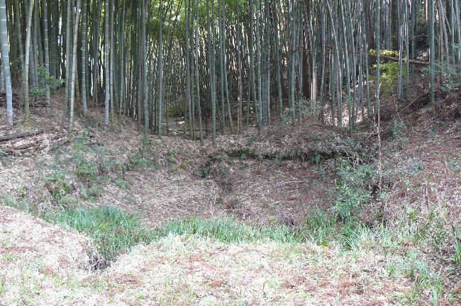 �q����_��