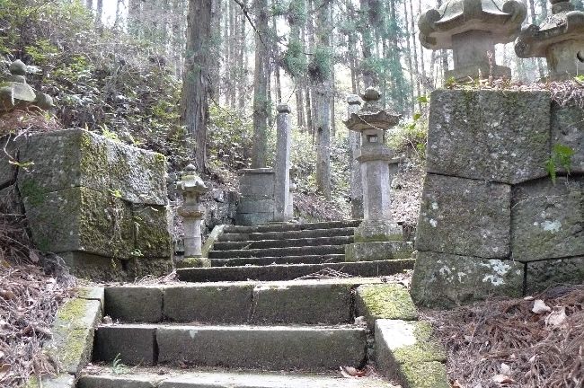 �O�H���d����_