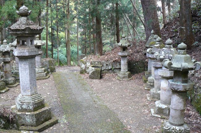 �O�H���d����_