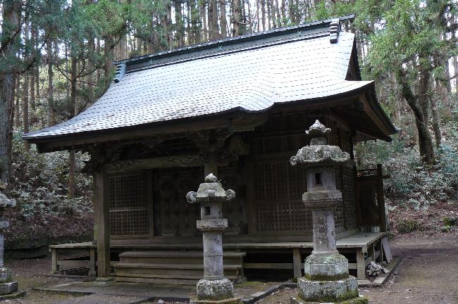 �O�H���d����_