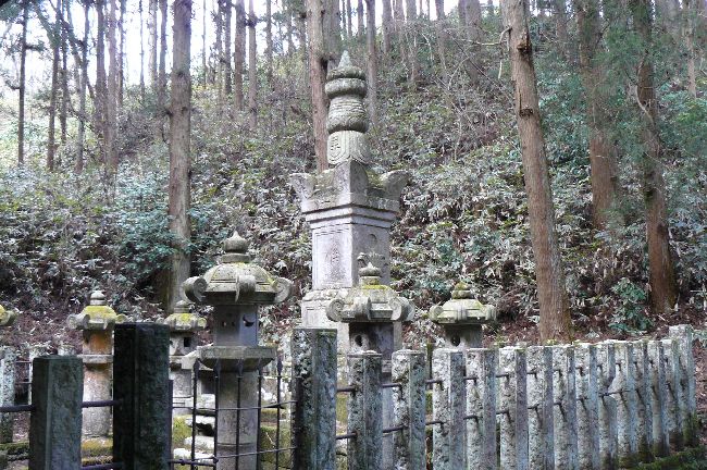 �O�H���d����_