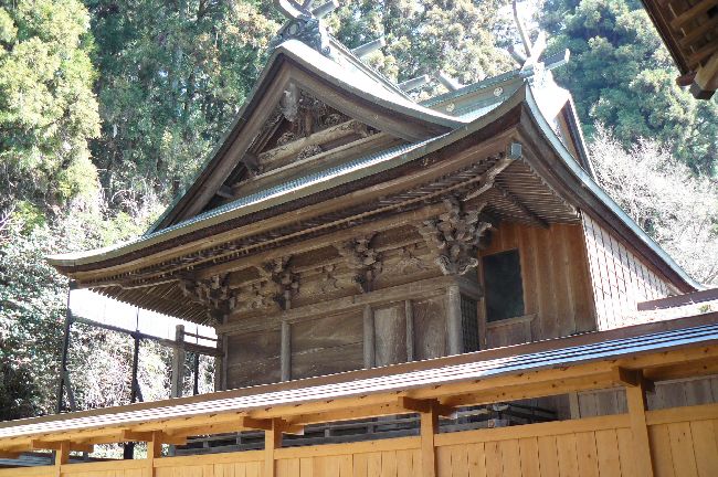 �����_��