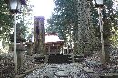 白河神社参道石畳み沿いにある杉並木と古びれた石燈篭