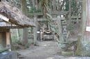 白河神社鳥居に覆いかぶさっている藤の大木