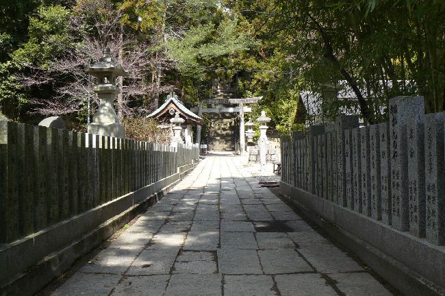 ���n�����_��